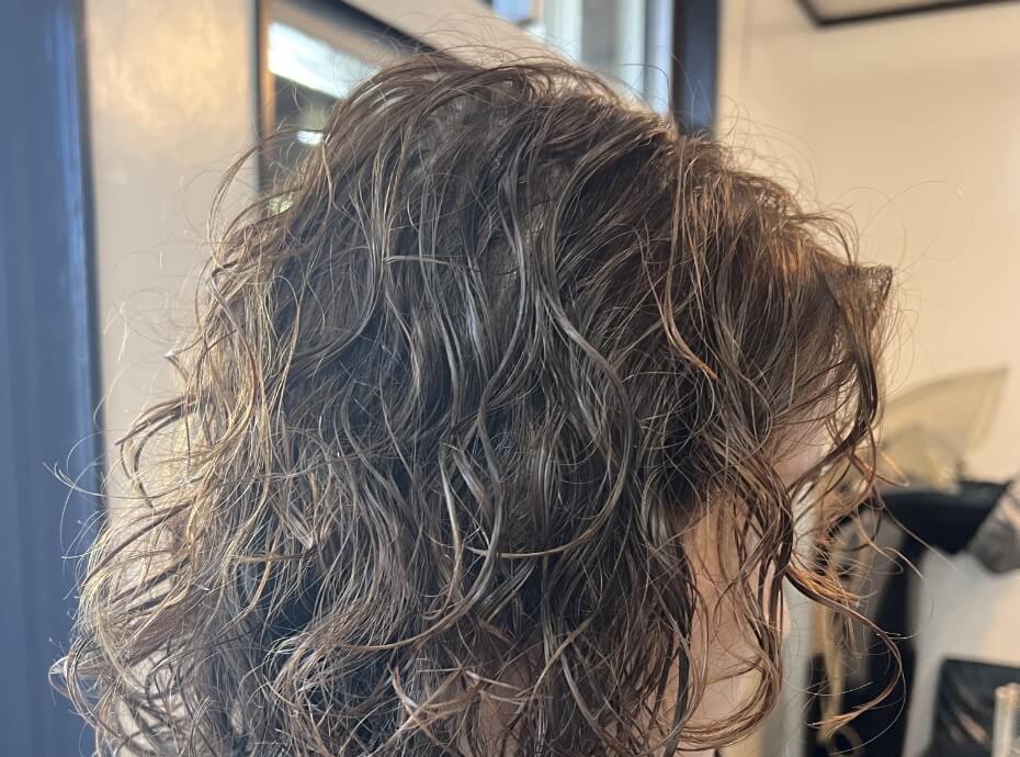 おすすめセットメニュー